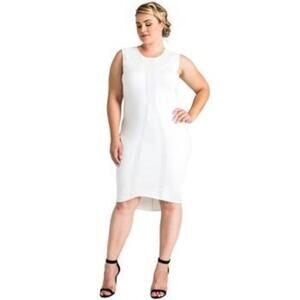 Standards & Practices Sleeveless Hi Low Sheath Dress